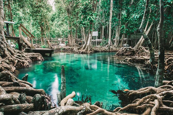 Private Eco Tour in Krabi by Luxury EV Car - Meeting and Pickup
