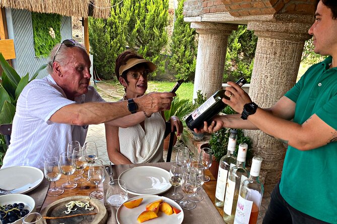 Private Ephesus Tour With Wine Tasting - Questions and Inquiries