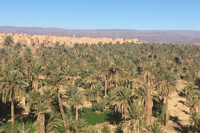 Private Excursion From Ouarzazate to Gorges Dades, Valley of Roses and Skoura - Possibility of Making Stops on Request