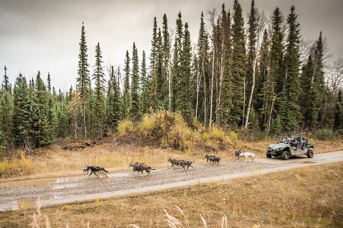 Private Fall Foliage Mushing Cart Ride in Fairbanks - Expectations and Policies