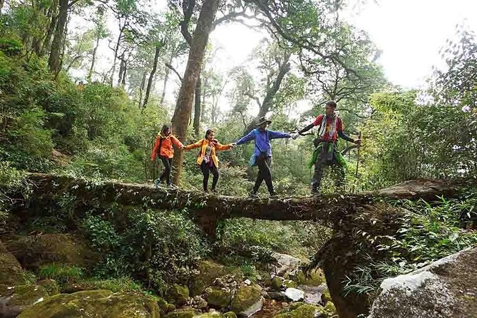 Private Fansipan Trekking Tour 2days 1night - Accommodation and Meals
