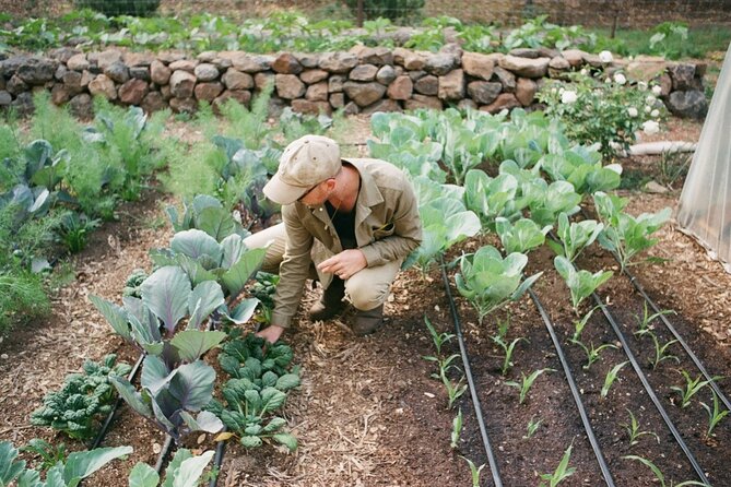 Private Farm Workshop in Napa Valley - Pricing and Availability Details