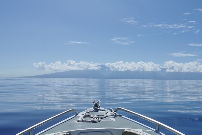 Private Fishing by Boat off the West Coast of Tahiti - Reviews