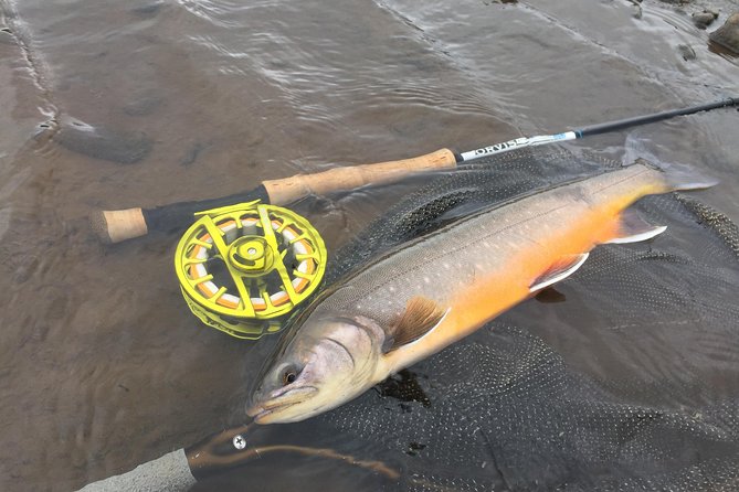 Private Fishing Tour From Reykjavik - Arctic Char and Brown Trout - Accessibility Information