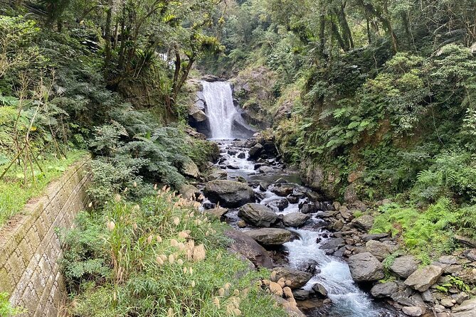 Private Forest Trail Day Tour in New Taipei - Trail Difficulty Level