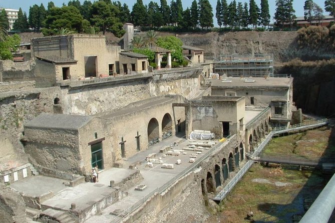 Private Full-Day Tour to Pompeii and Mt. Vesuvius With Winery Visit - Cancellation Policy