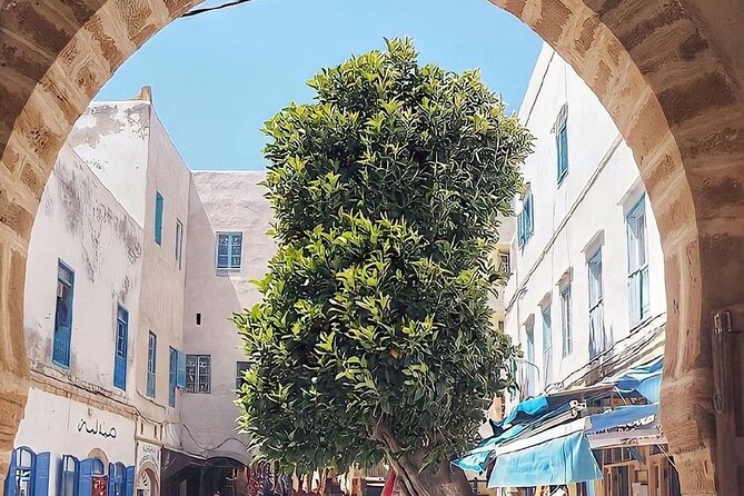 Private Full Day Trip From Marrakech to Essaouira Mogador - Optional Activities and Excursions