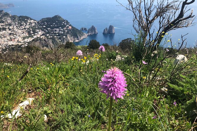 Private Gastronomic Walk on the Path of the Gods - Important Information and Cancellation Policy