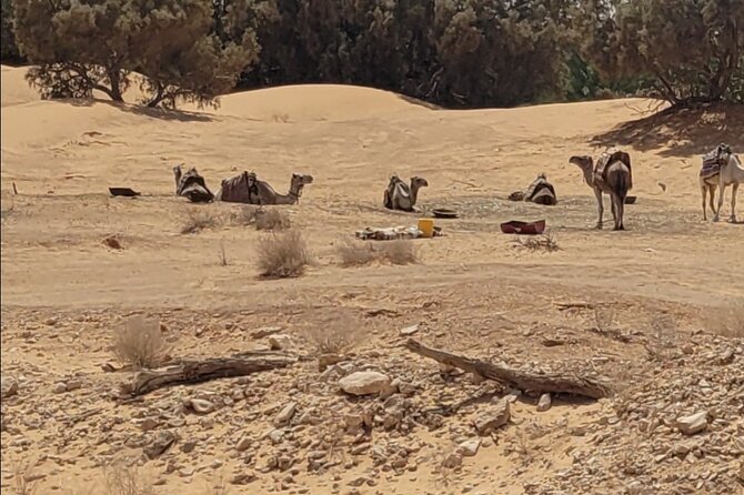 Private Getaway in the Desert Like No Other - Common Questions