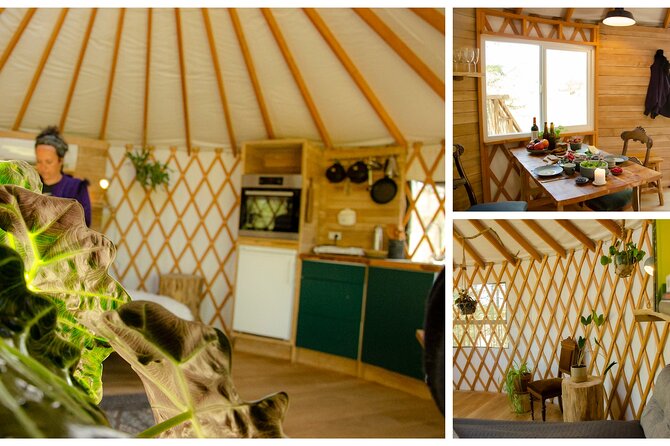 Private Glamping at Forest Tower With Transportation From CPH - Itinerary and Experience