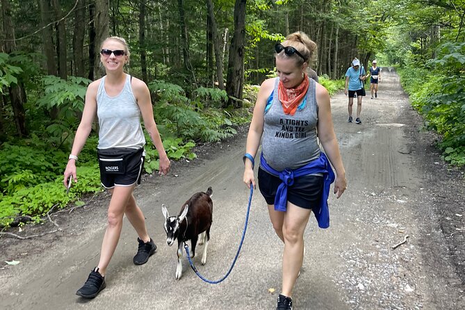 Private Goat Hiking in Quebec Forest and Beaver Dam Visit - Pricing, Terms, and Cancellation Policy