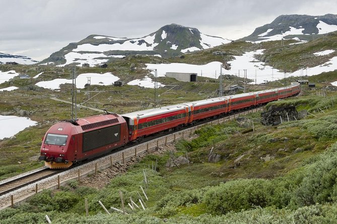 Private Guided Day Tour - RIB Nærøyfjord Safari & Flåm Railway - Towering Mountains and Majestic Waterfalls