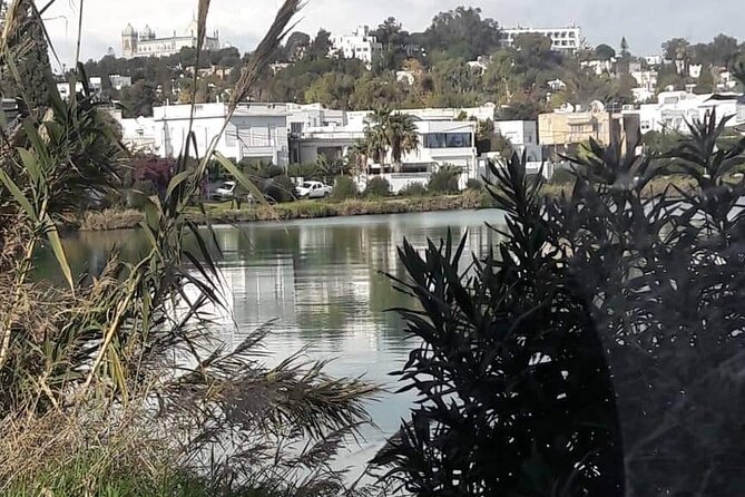 Private Guided Excursion Tunis, Carthage and Sidi Bou Said From Tunis - Excursion Details