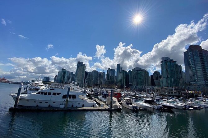 Private Guided Grand City Tour in Vancouver - Homelessness and Housing in Vancouver