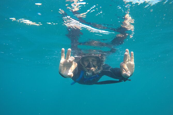 Private Guided Snorkeling in Cabo San Lucas - Top Snorkeling Spots in Cabo San Lucas