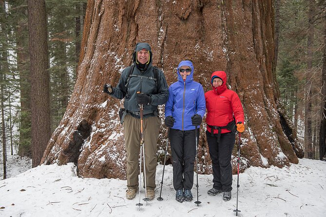Private Guided Snowshoe Hike in Yosemite - How to Prepare