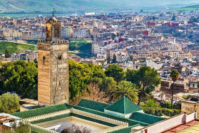 Private Guided Tour of the Medina of Fez and Its Surroundings - Expert Tour Guide