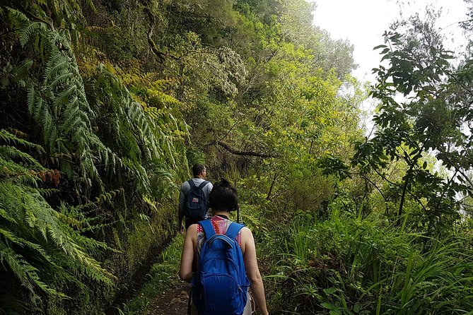 Private Guided Walk Levada Caldeirao Verde - Safety Guidelines
