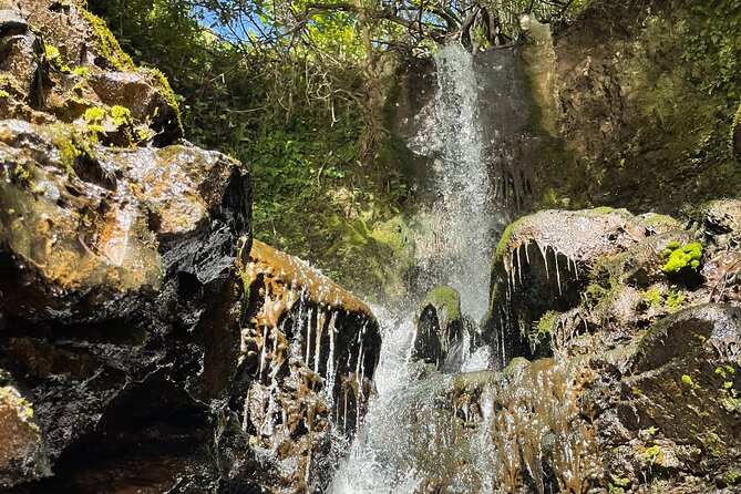 Private Guided Waterfall Hike Rainforest Adventure - What To Expect