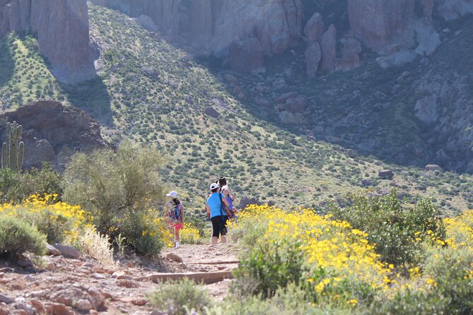 Private Half-Day Apache Trail Tour With Pickup - Pricing and Additional Information