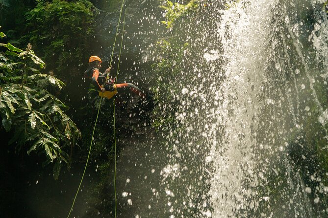 Private Half Day Canyoning Tour in Gordona - Ratings and Reviews