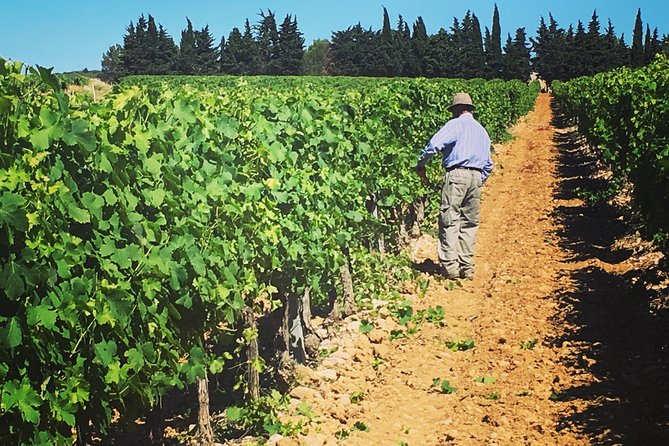 Private Half-Day Languedoc Wine Tour From Sète - Questions and Support