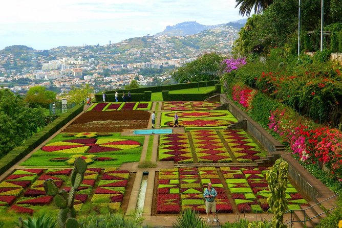 Private Half Day Madeira Tour (8 Seat Mercedes Vito) - Tour Highlights