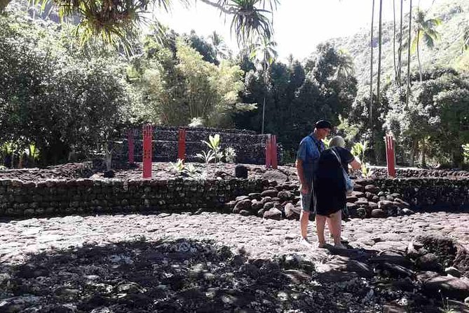 Private Half-Day Natural Highlights Tour of Tahiti  - Papeete - Traveler Tips for the Tour