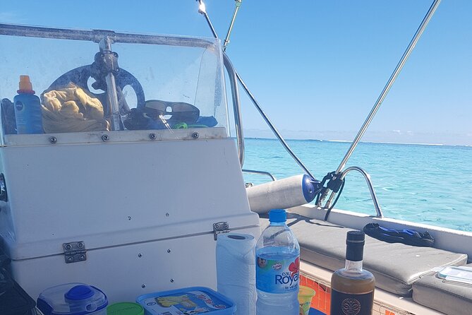 Private Half-Day Snorkeling Tour, Moorea - Snorkeling Experience