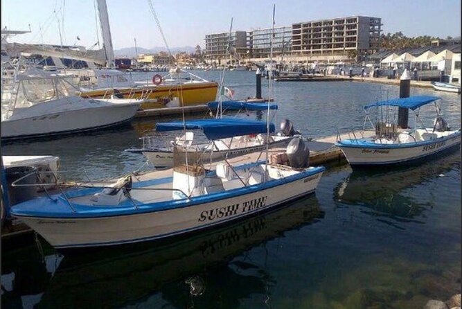 Private Half-Day Sport Fishing in Los Cabos - End Point