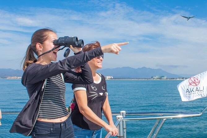 Private Half Day Whale Watching Expedition in Puerto Vallarta - Important Terms & Conditions