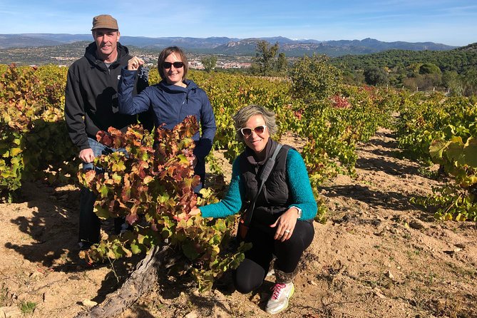 Private Half-Day Wine Tour Near Madrid - Rated Unique and Personalized - Additional Information