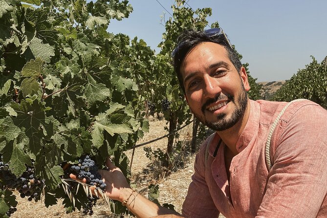 Private Heraklion Wine Country Tour - Private Guide and Transportation