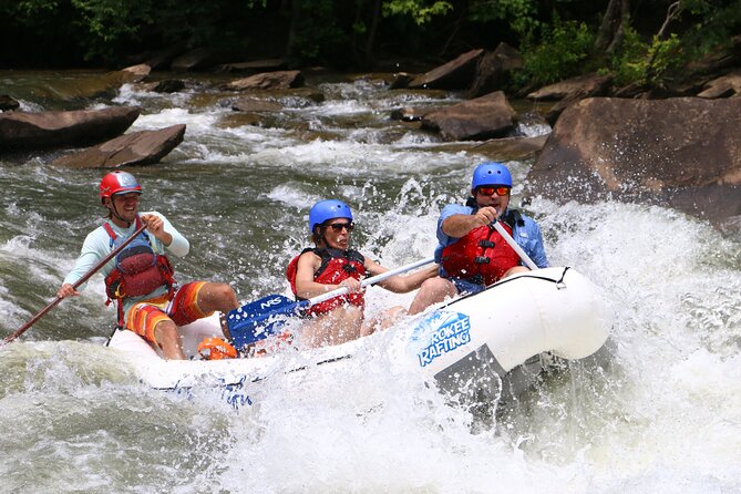 Private High Adventure Trip on the Ocoee River - Reviews: Overall Rating, Review Count, and Ratings Breakdown