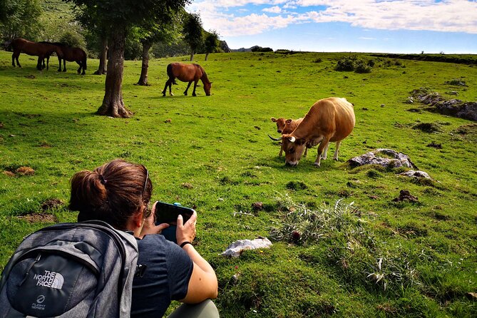 Private Hiking Experience in the Sierra De Peña Mayor - Meeting and Pickup