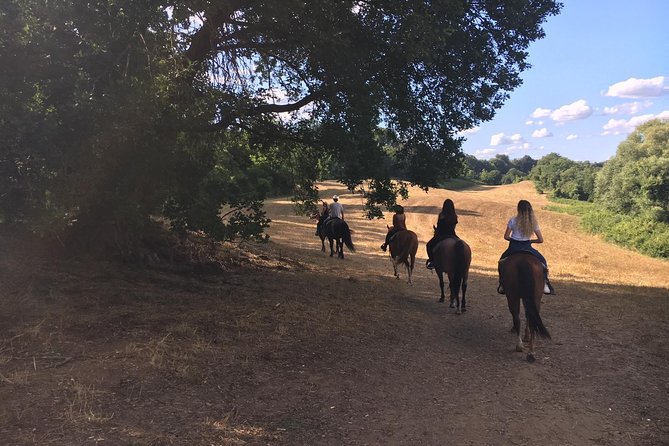 Private Horse Ride in the Veio Park in Rome - What to Expect