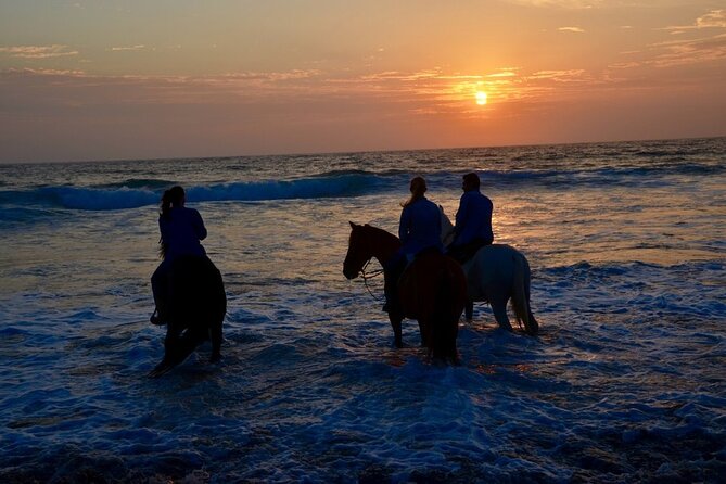 Private Horseback and La Bufadora Shore Excursion - Traveler Photos and Reviews