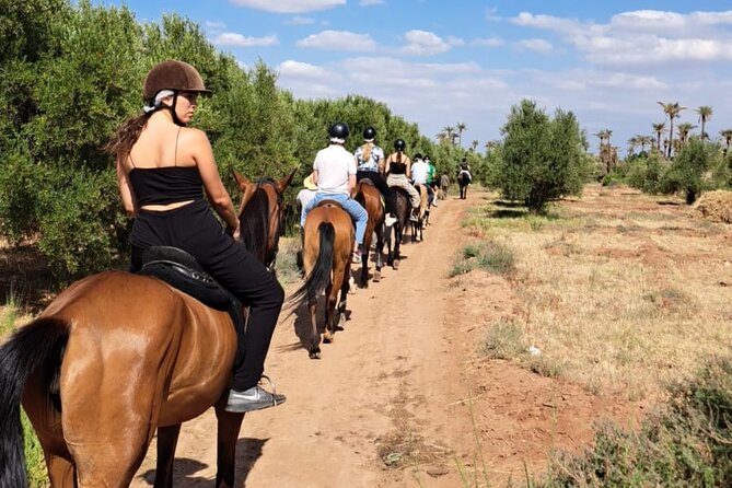 Private Horseback Ride in the Palmeraie of Marrakech - Customer Support