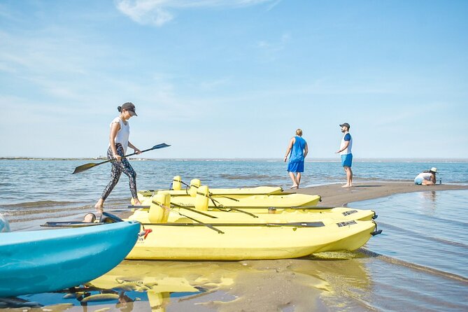 Private Kayaking Adventure Around the Mangroves and La Paz Bay - Operator Information