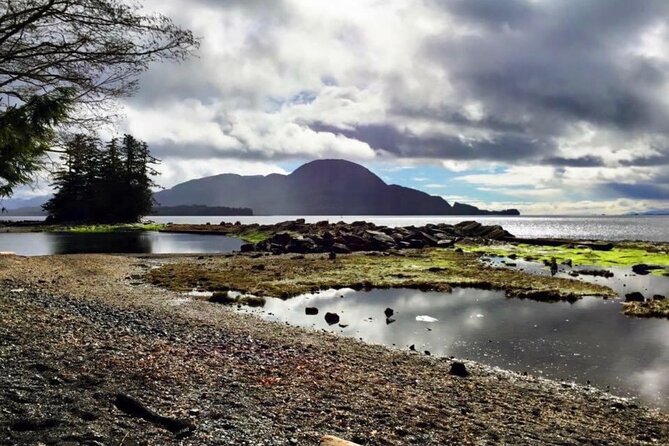 Private Ketchikan City Totems & Wildlife Van Tour - Personalized Itinerary and Flexibility