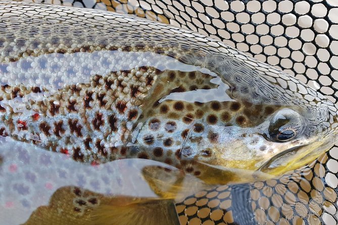Private Lake and River Fishing Tour From Reykjavik - Cancellation Policy