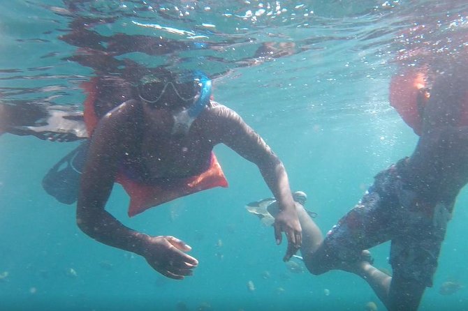 Private Los Arcos Snorkeling - Cancellation Policy