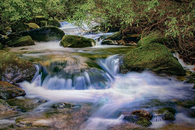 Private Luxury Day Killarney and National Park Tour - Common Questions