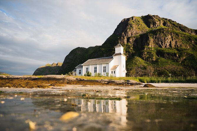 Private Midnight Tour To Gimsøya - Wildlife Encounters