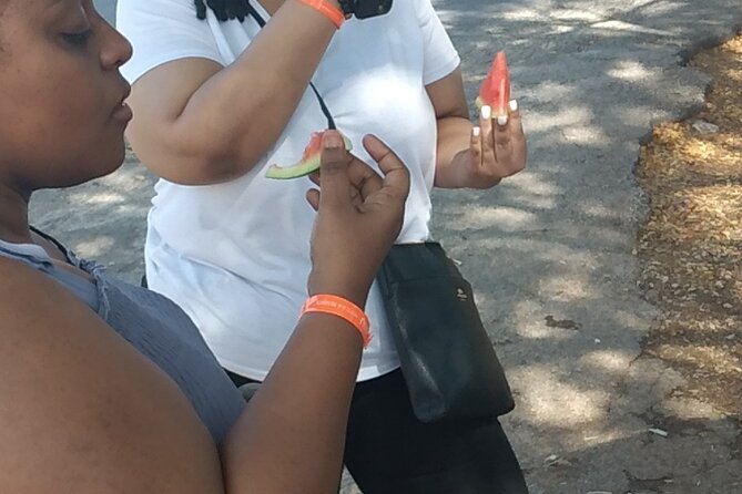 Private Montego Bay Foodie Tour With City Highlights - Contact Information and Terms
