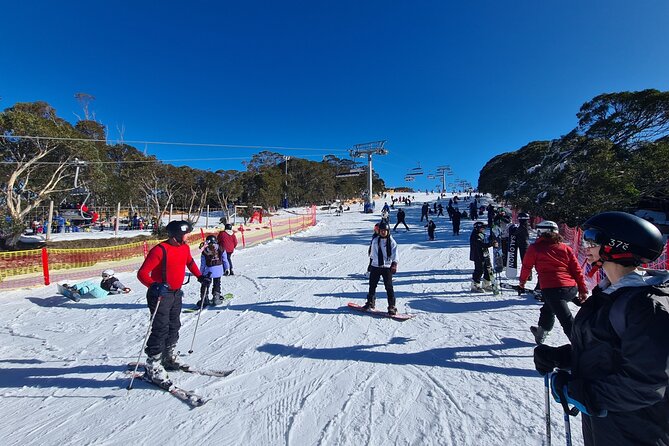 Private Mount Buller Snow and Ski Tour From Melbourne - Itinerary and Experience