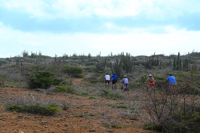 Private Mountain Bike Tour on Aruba - The Sum Up
