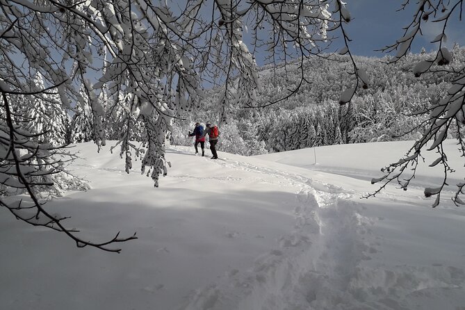 Private Mountain Snowshoe Hike From Chamonix - Learn About Surrounding Mountains