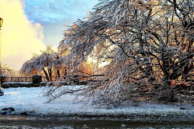 Private Niagara Ice Wine Tour - Price and Terms