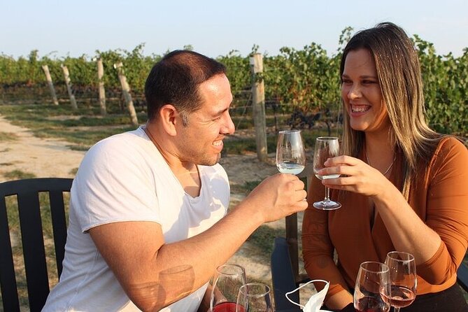 Private Niagara Region Wine Tasting Tour  - Niagara Falls & Around - Cancellation Policy